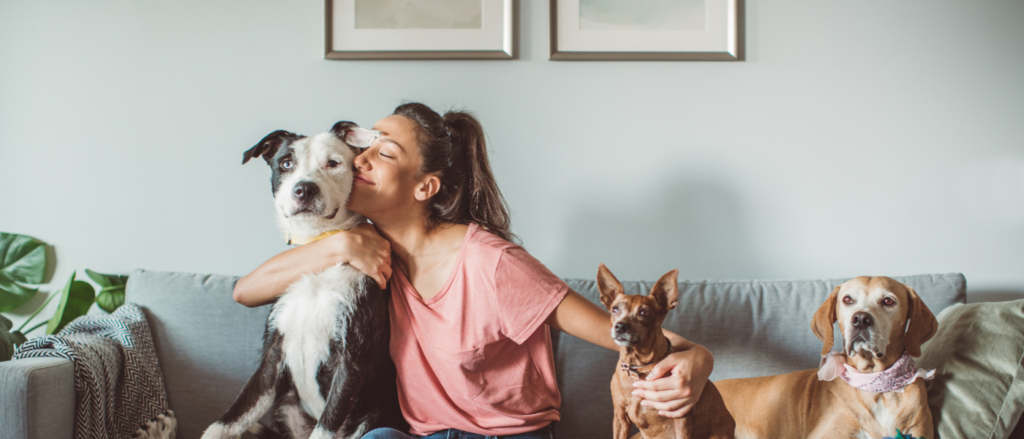 Navigating the Journey of Moving In with Your Pets