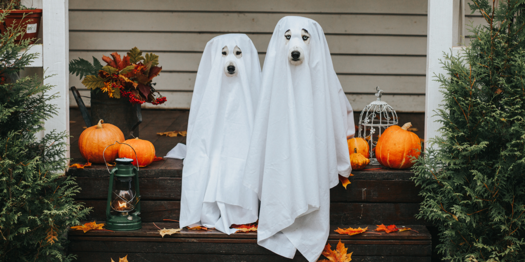 Halloween Tricks and Tips: How to Make Your Home Festively Spooky 1