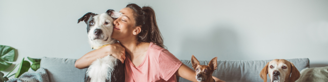 Navigating the Journey of Moving In with Your Pets